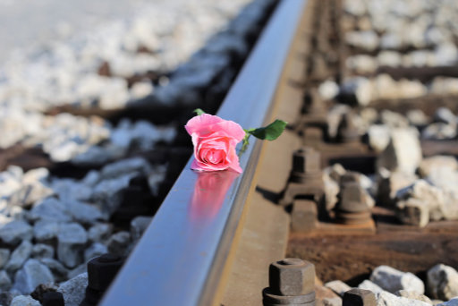 Růže na koleji